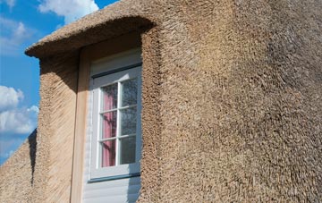 Bouth thatch roof disadvantages